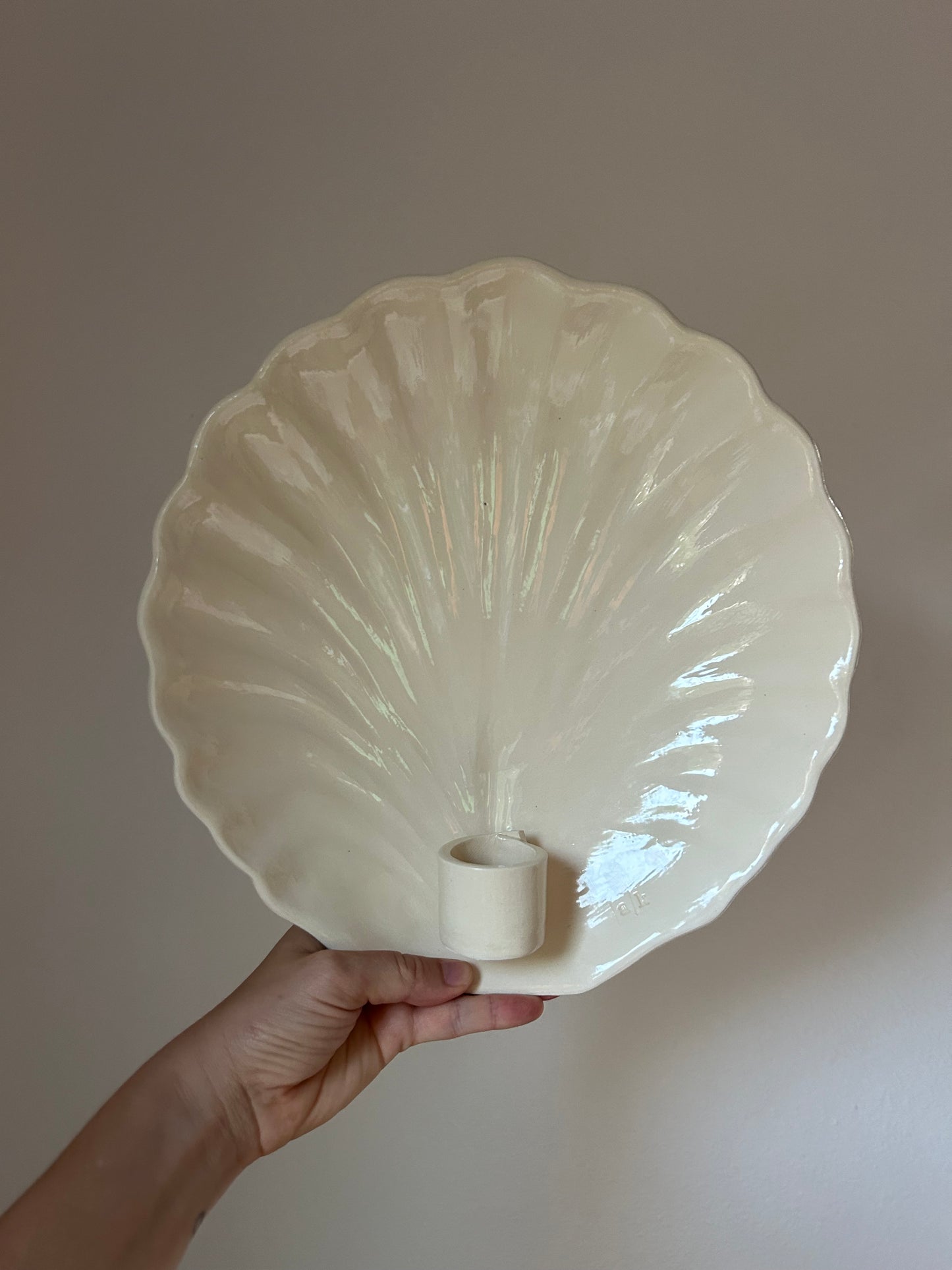 Shell Wall Sconce - Seconds
