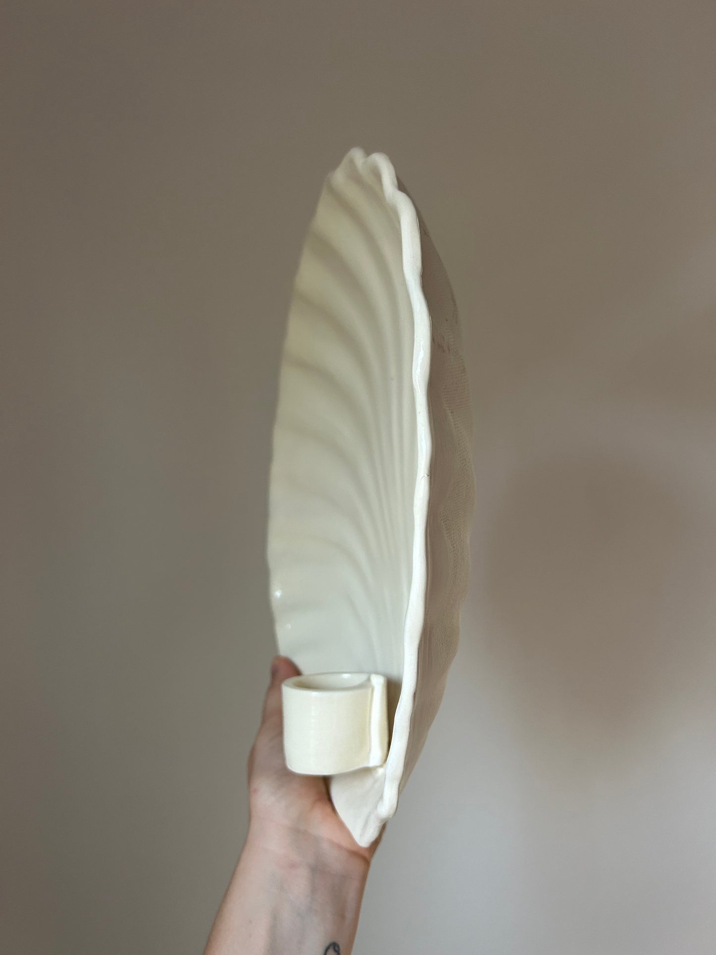 Shell Wall Sconce - Seconds