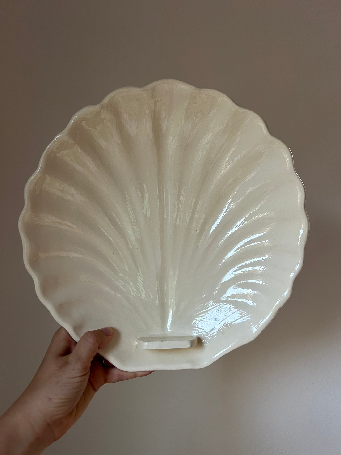 Shell Wall Sconce