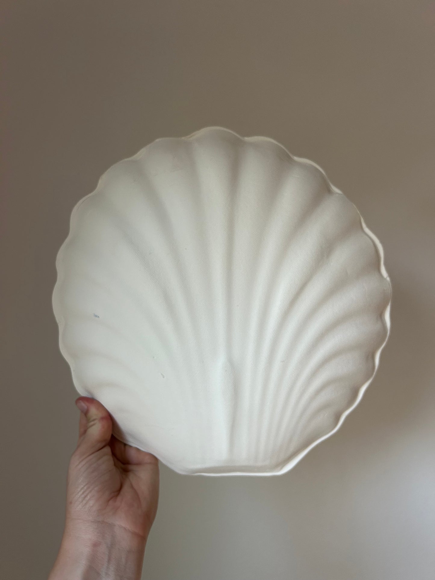 Shell Wall Sconce