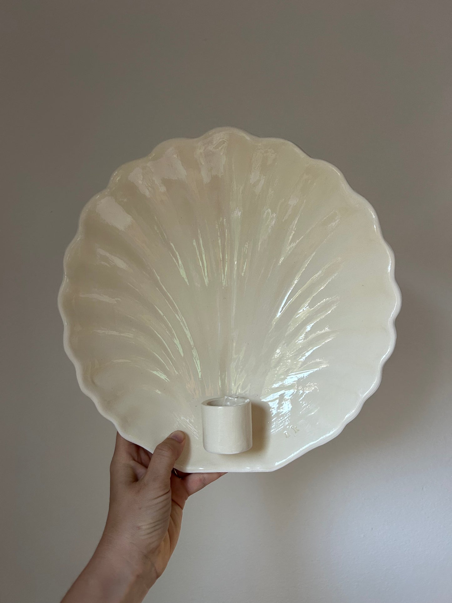 Shell Wall Sconce - Seconds