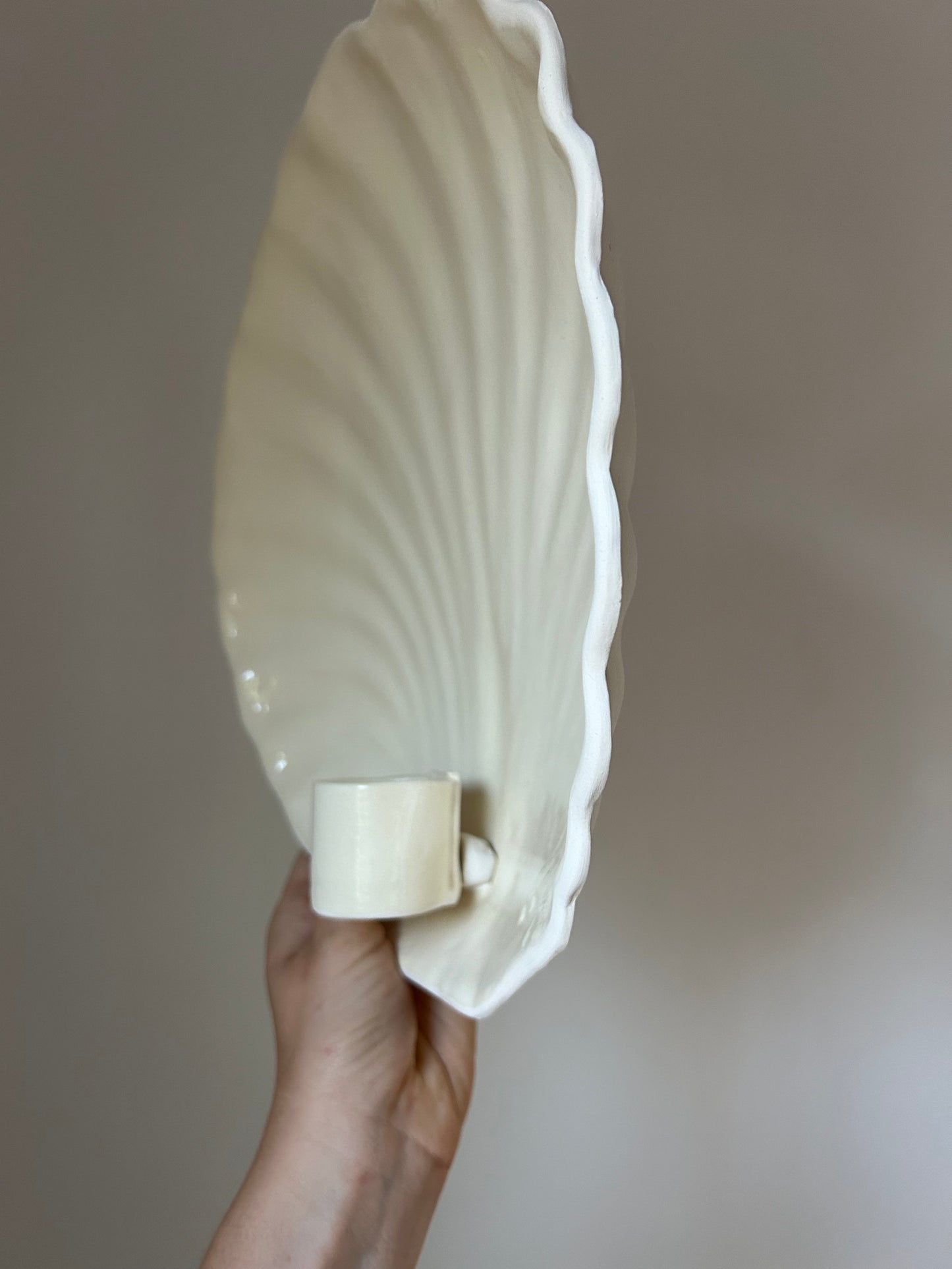 Shell Wall Sconce - Seconds