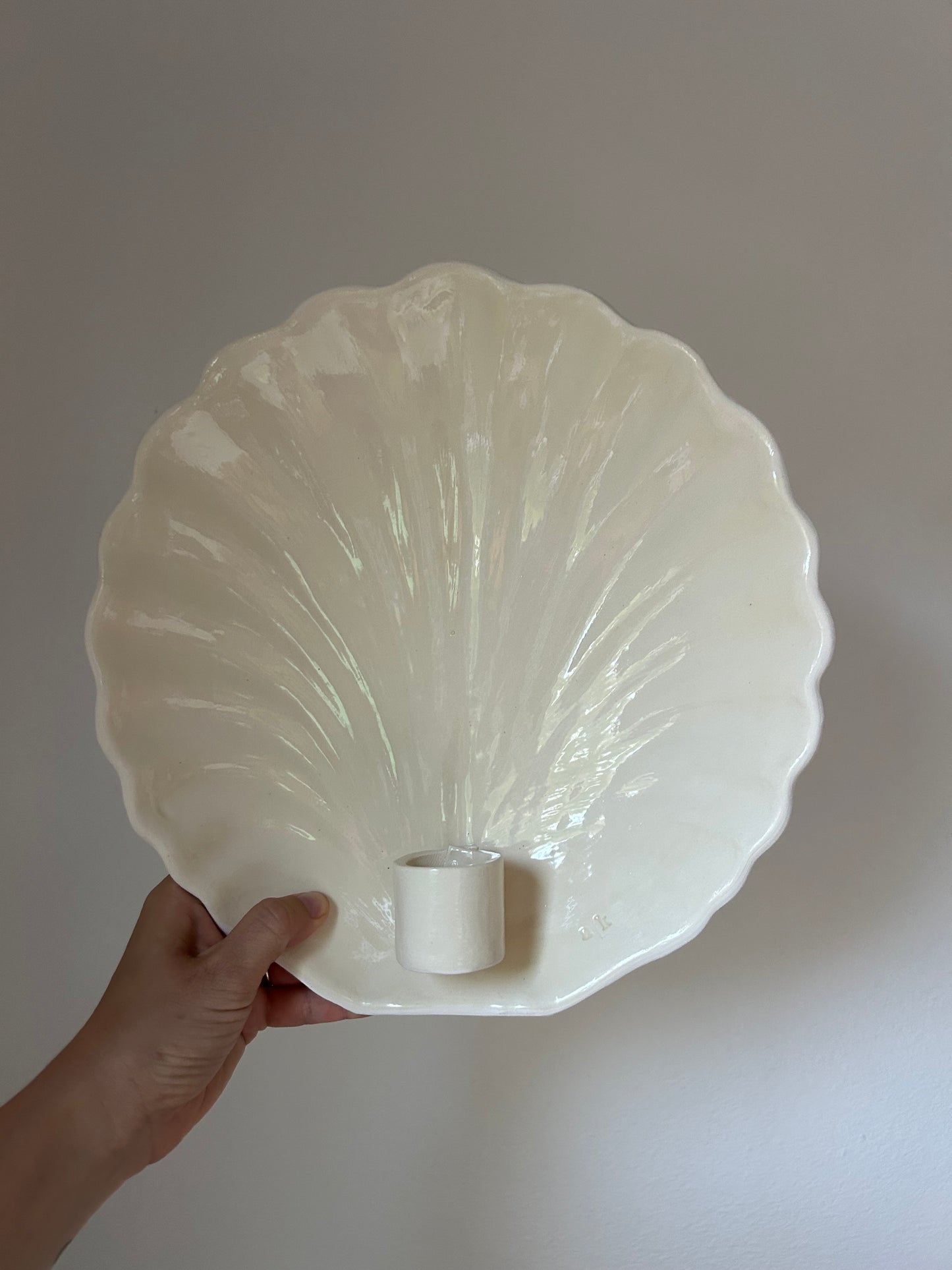 Shell Wall Sconce - Seconds