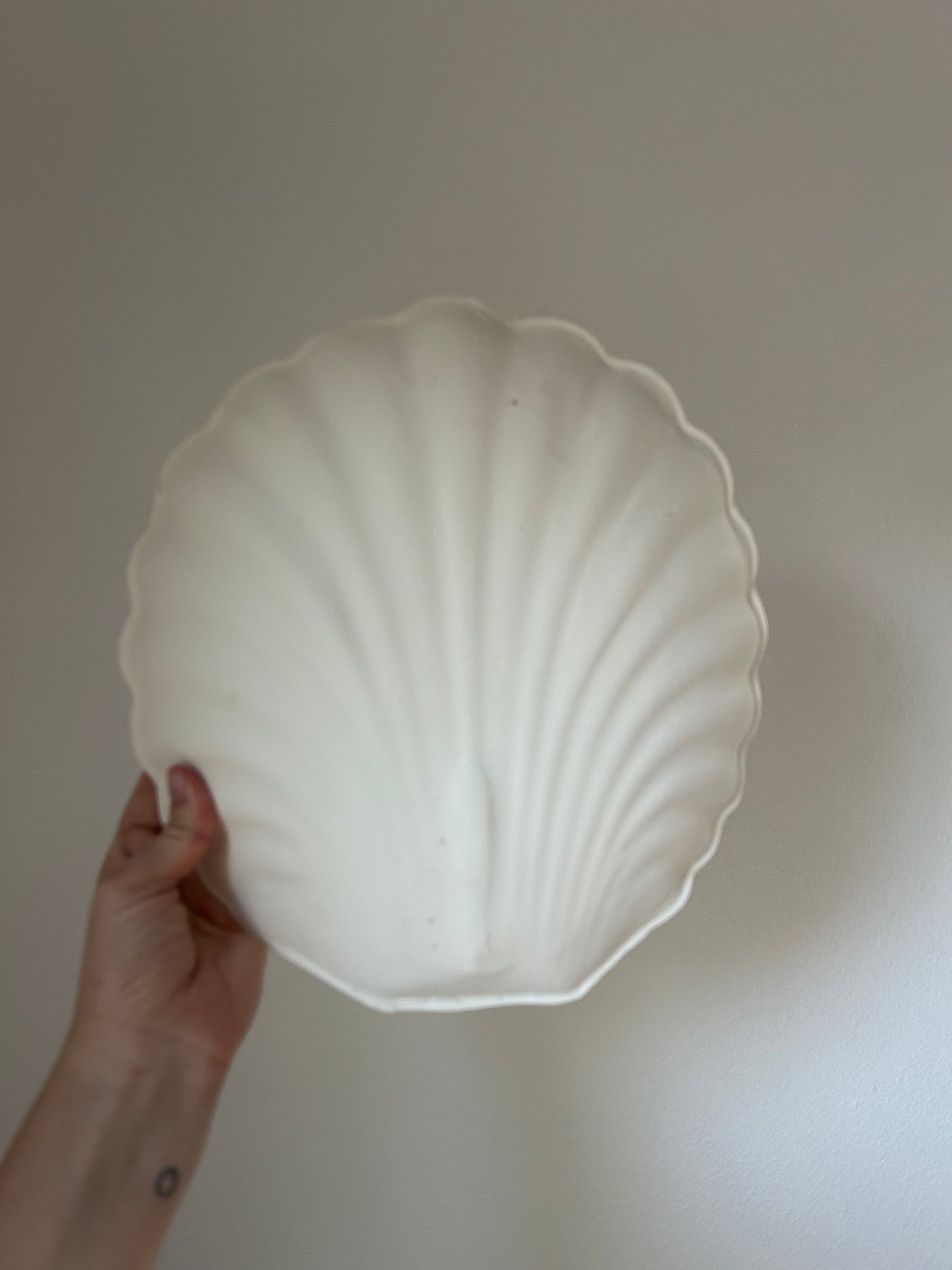 Shell Wall Sconce - Seconds
