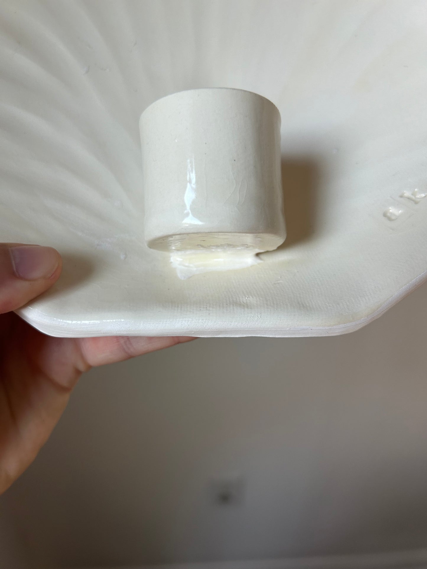 Shell Wall Sconce - Seconds