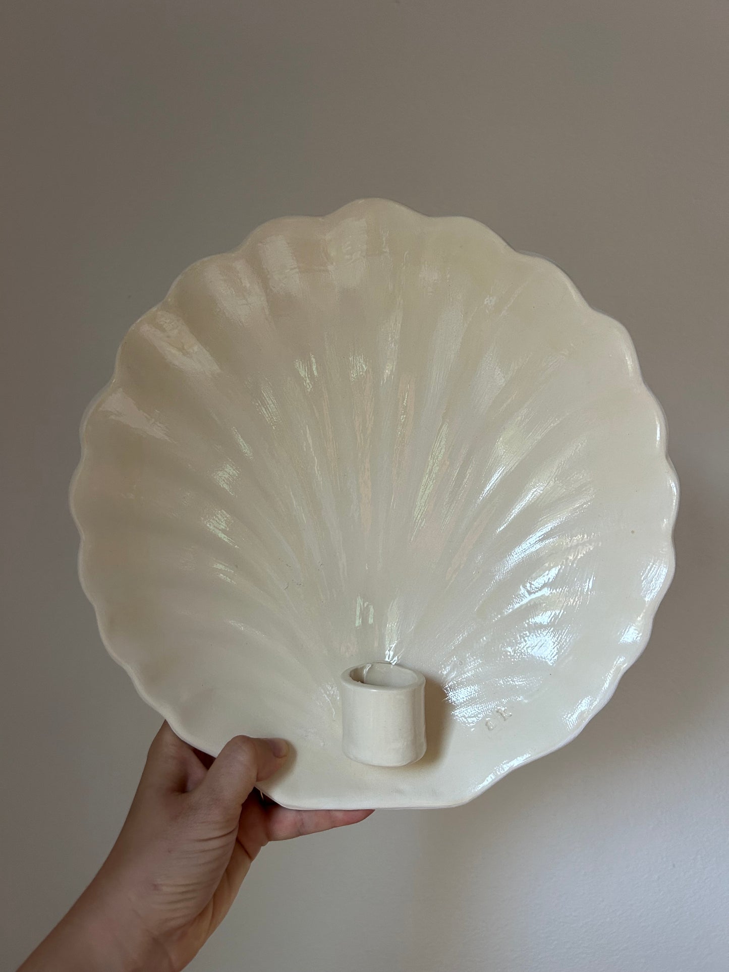 Shell Wall Sconce - Seconds