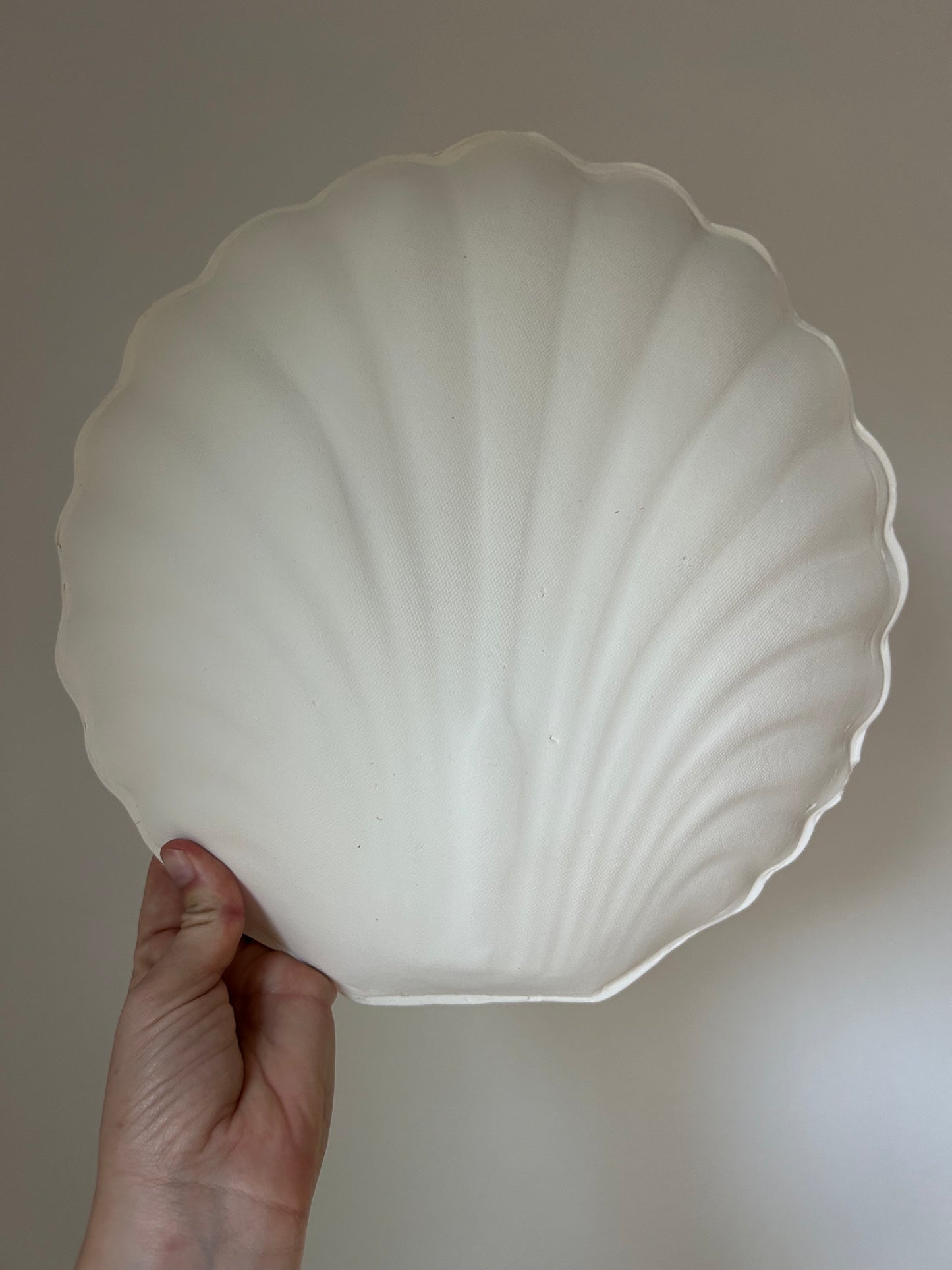 Shell Wall Sconce - Seconds