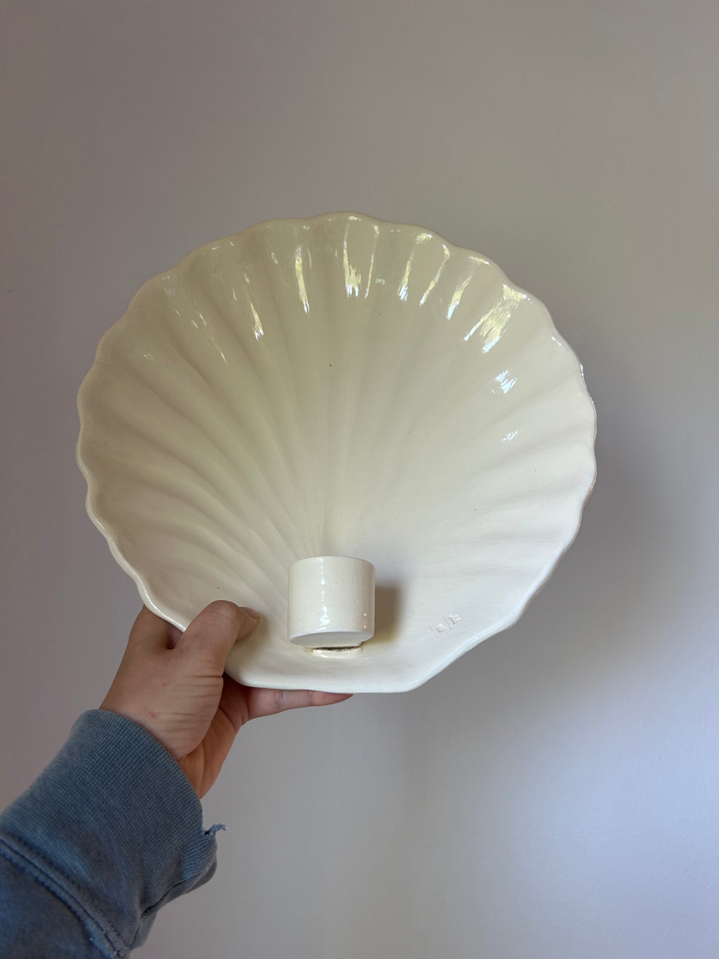 Shell Wall Sconce - Seconds
