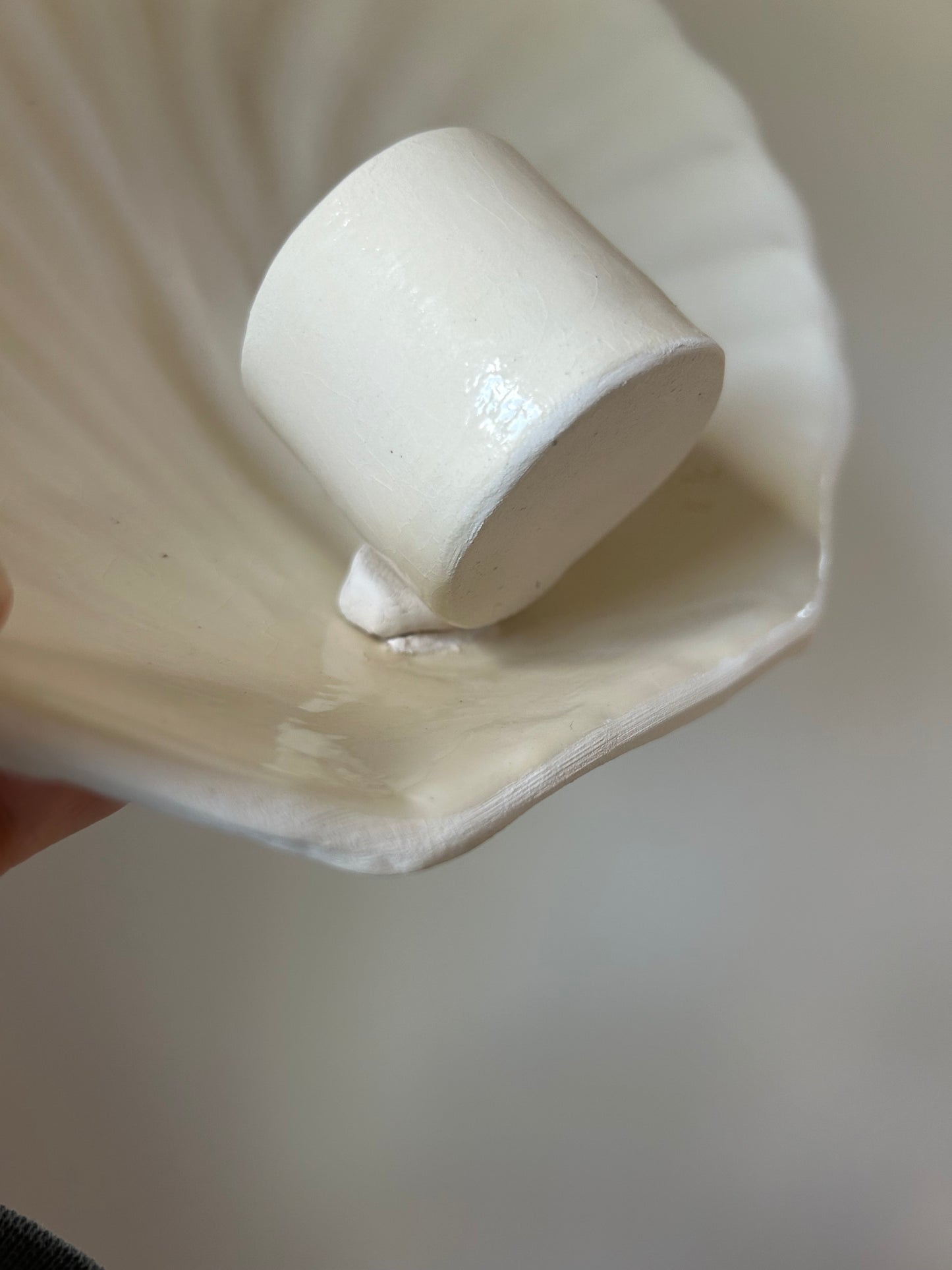 Shell Wall Sconce - Seconds