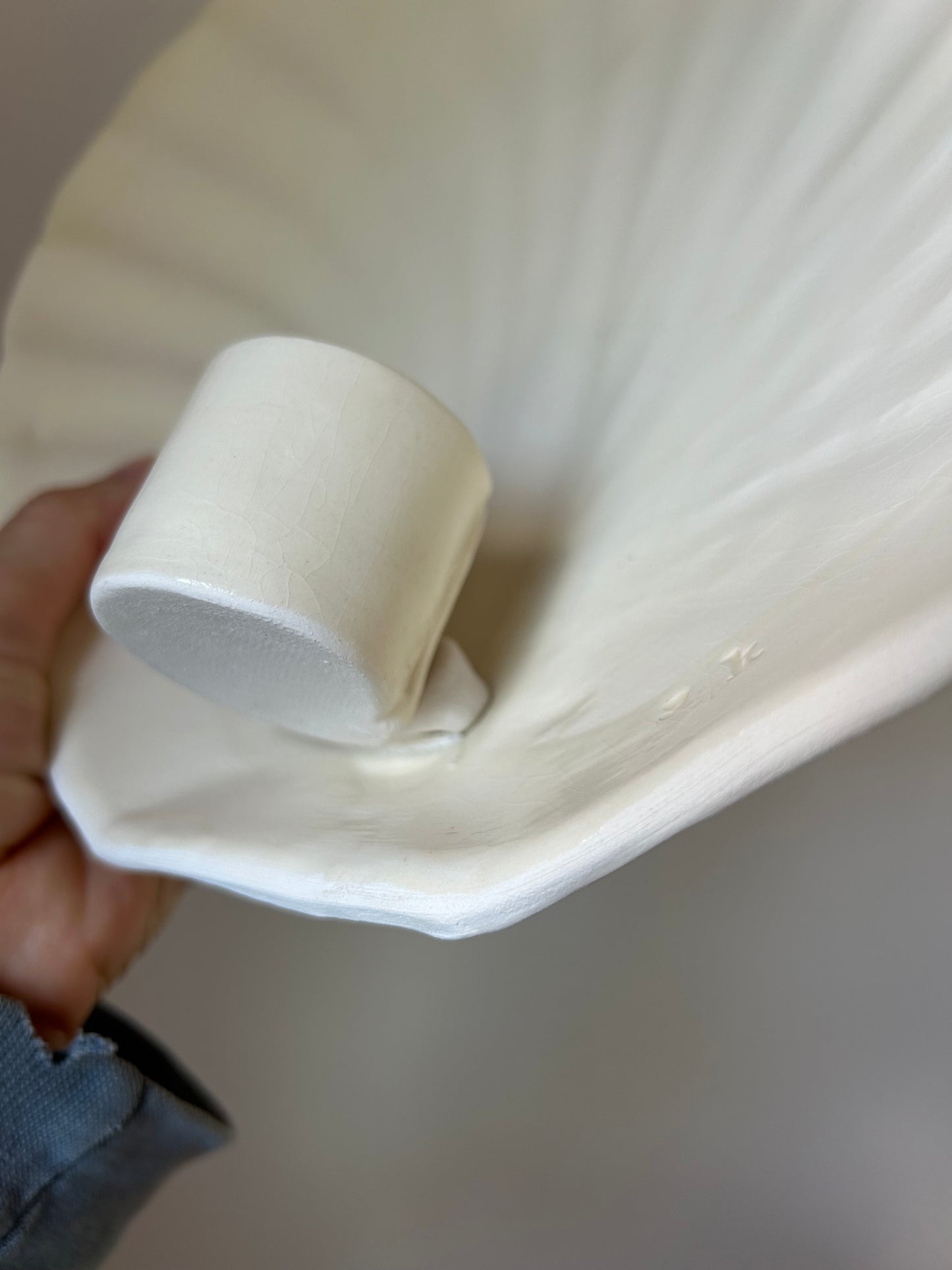 Shell Wall Sconce - Seconds