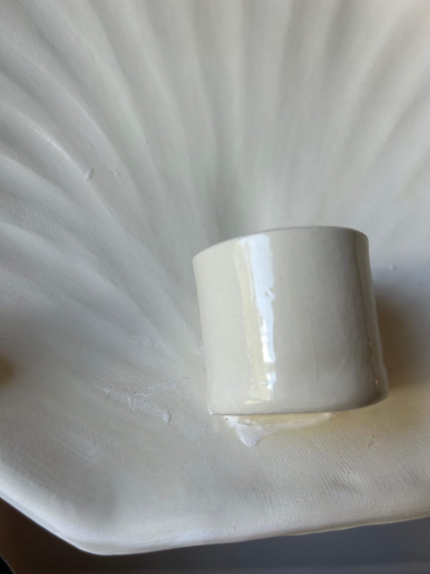 Shell Wall Sconce - Seconds
