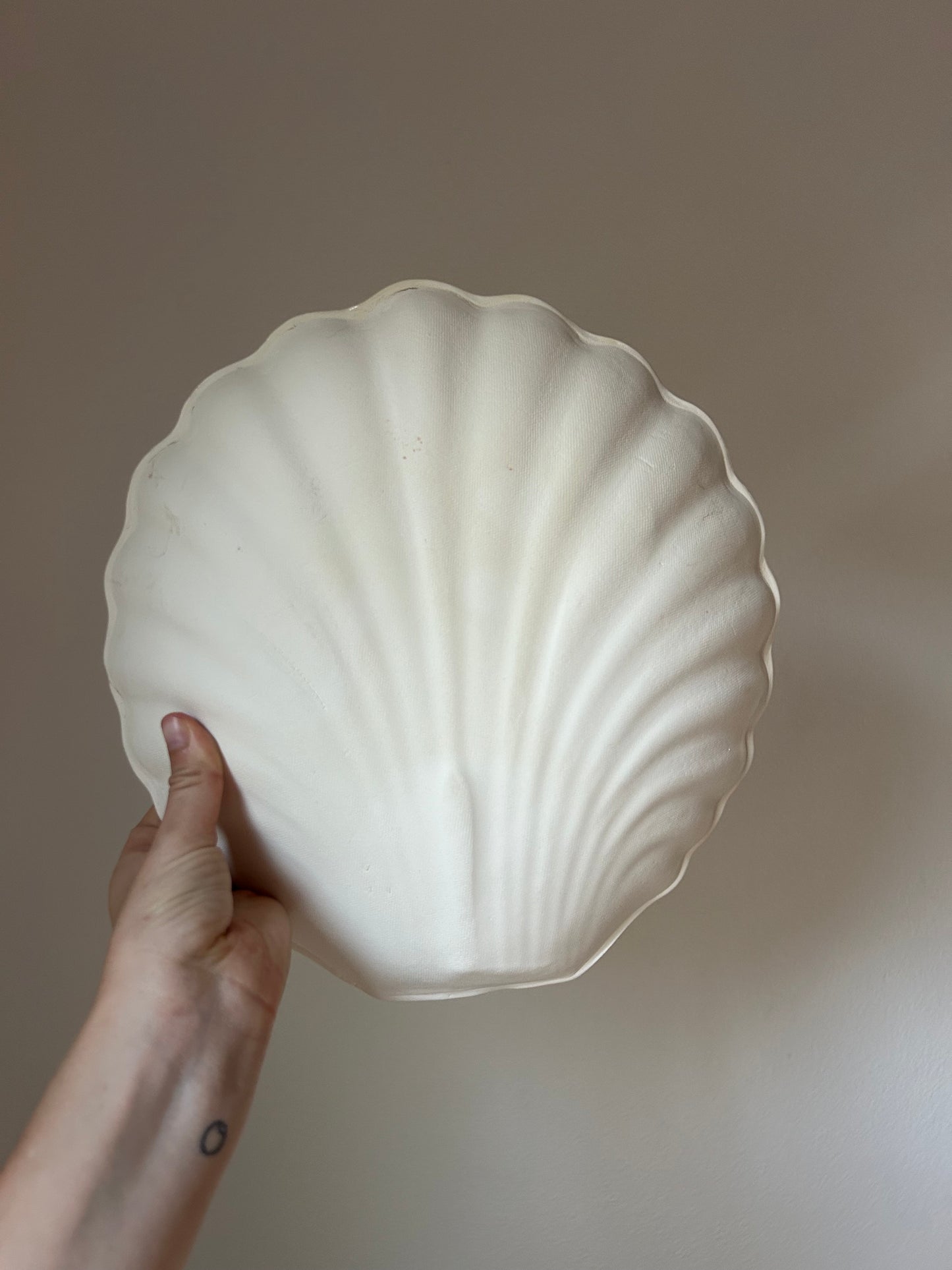 Shell Wall Sconce - Seconds